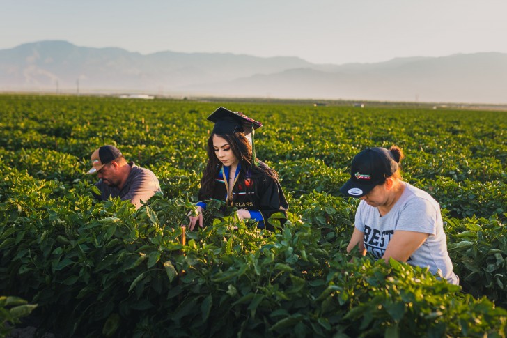 Una estudiante honra a sus padres tomando las fotos de su graduación en los campos donde trabaja su familia - 1