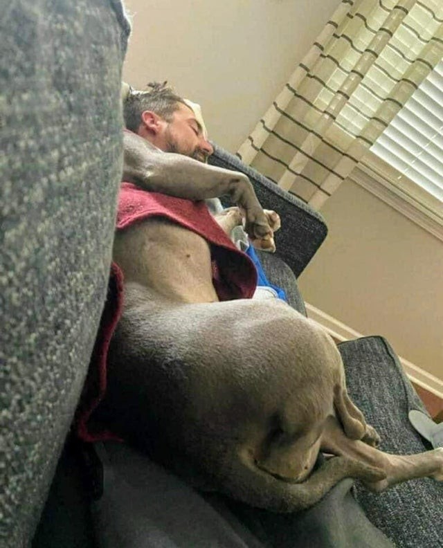 Ich frage mich, wie er reagieren wird, wenn er aus seinem Nickerchen aufwacht und merkt, dass er sich in einen Hund verwandelt hat.