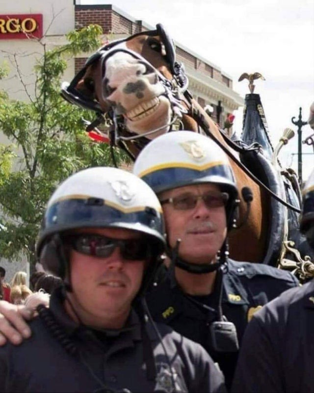 1. Cuando quieres sacarte una foto con tu colega y el caballo se siente llamado a la causa: después de todo, ¡también él es un "colega" de trabajo!