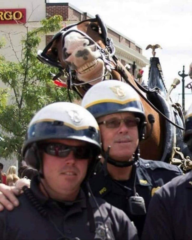 1. When you want to take a picture of yourself with your colleague and the horse feels left out: after all, he too is a "colleague"!