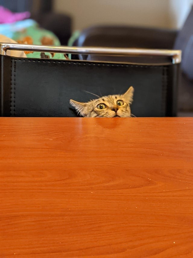La manera en la que me mira mientras me siento en la mesa para comer...