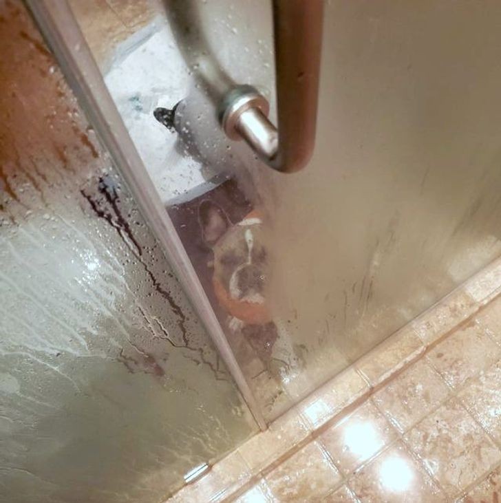 Il me regarde fixement même quand je suis dans la douche...