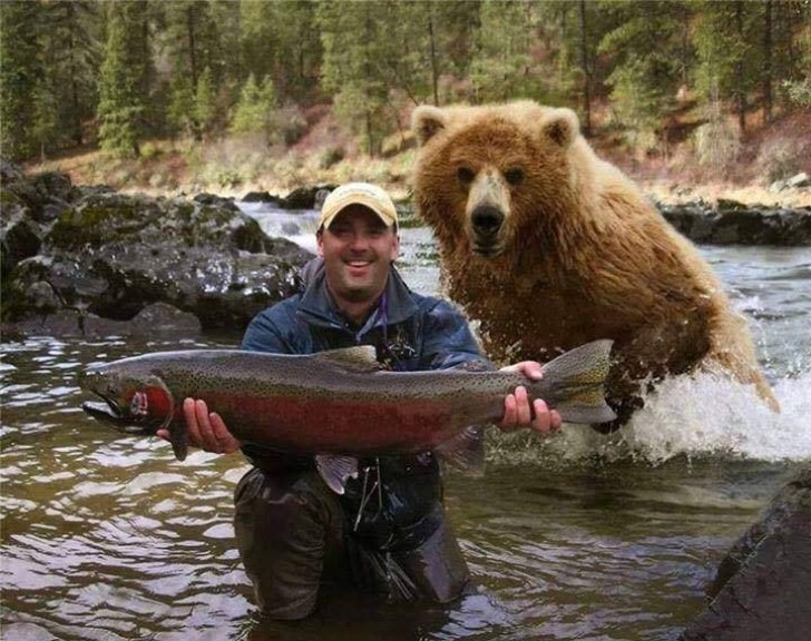 11. L'ours s'est lui aussi mis en pose : il voulait participer à ce moment.