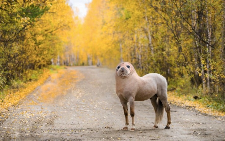 5. Deze persoon houdt ervan om dieren te combineren. Kun je raden welke hij heeft verenigd?