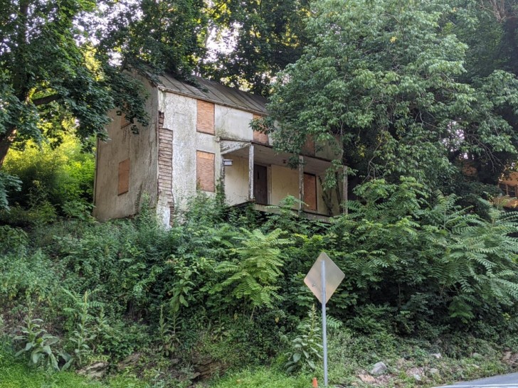 15. C'è qualcosa che ci guarda dalla vegetazione: questa casa abbandonata sembra proprio fare da "sentinella" sulla strada!