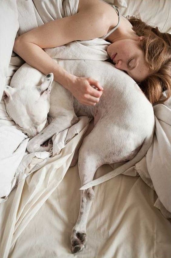 Dormire con gli animali: sì o no?