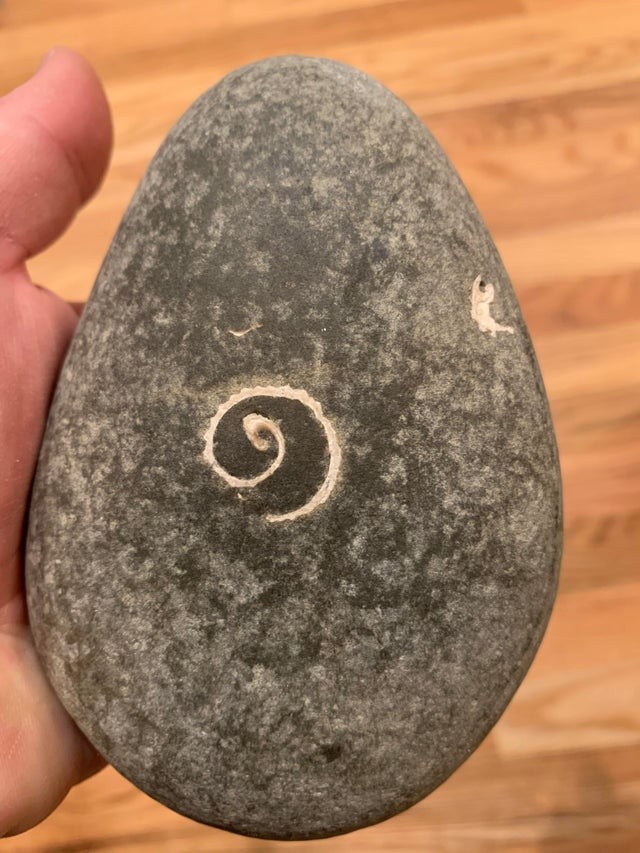 7. Una pietra qualunque con una spirale perfetta e affascinante.
