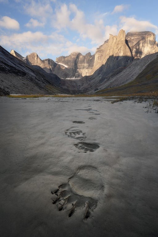 9. In Alaska, fuori dalla tenda in cui dormiva il fotografo, sono state trovate queste enormi impronte.