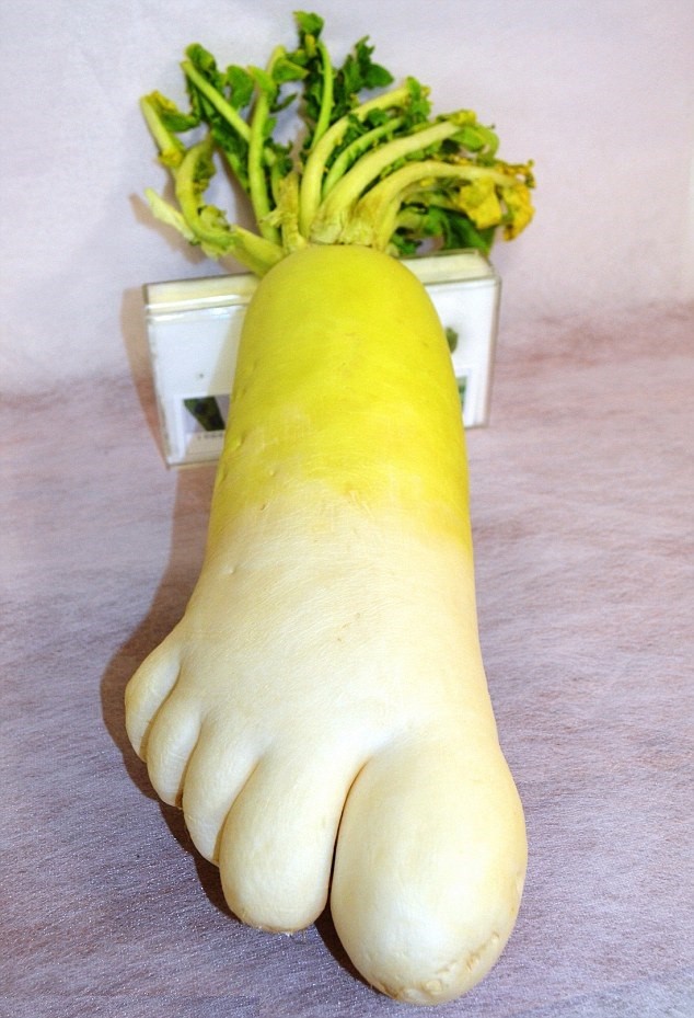 13. Een wortel die eruitziet als een voet met vijf perfecte tenen.