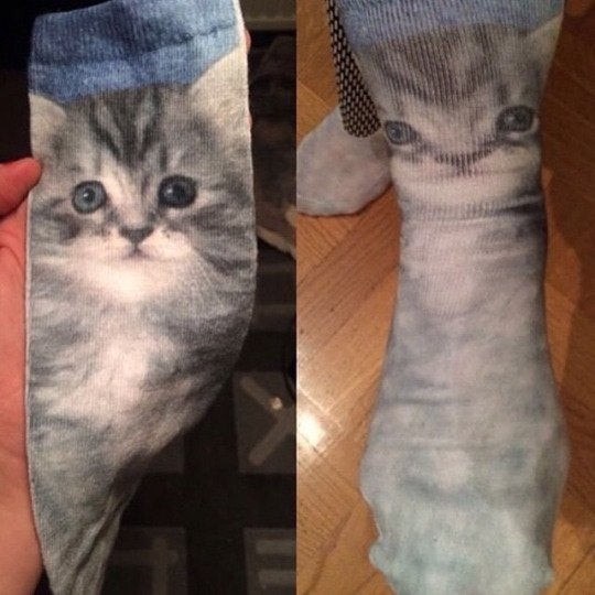 14. Même les chaussettes avec des chatons ne sont pas dignes de confiance...
