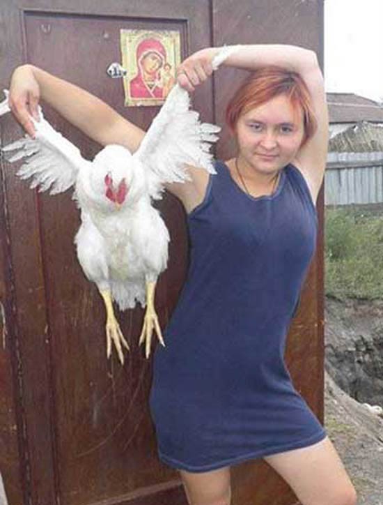 8. Chiunque decida di uscire con questa donna, deve essere consapevole che verrà anche la gallina.