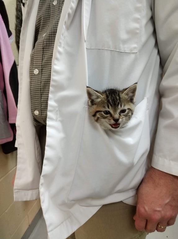 Ein guter Tierarzt hat immer einen Ass im Ärmel ... oder in der Tasche.