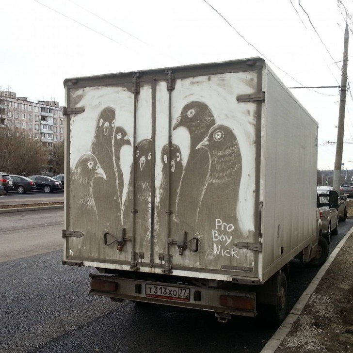 4. Anche qui un camioncino sporco, popolato da uccelli.