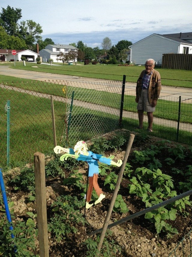 15. Der 90-jährige Nachbar wählte diese seltsame Vogelscheuche für seinen Gemüsegarten.