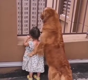 Cute Babies and Pets