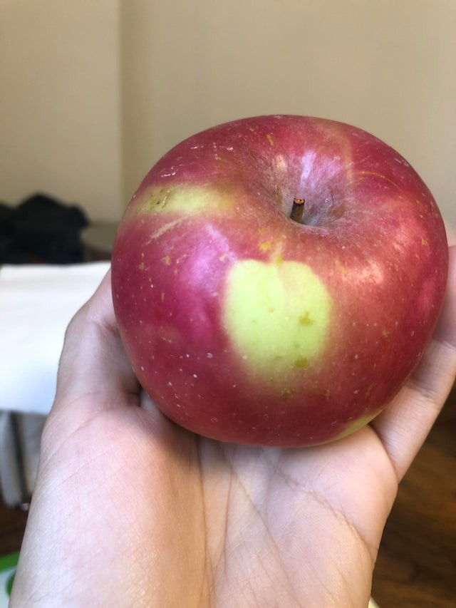 3. Les couleurs de cette pomme créent des nuances et on dirait qu'une autre pomme est dessinée dessus.