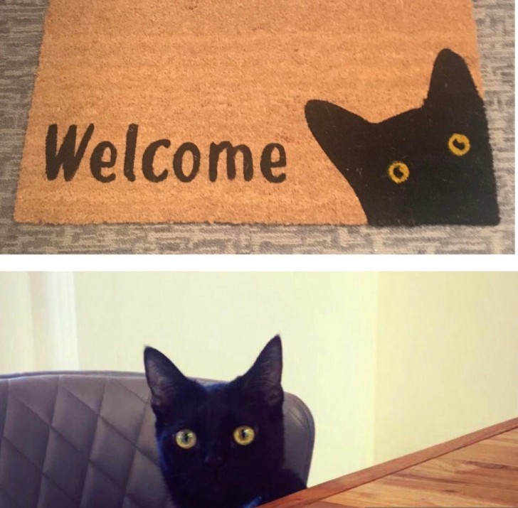 10. "Ik heb een deurmat gekocht die precies op mijn kat lijkt!"