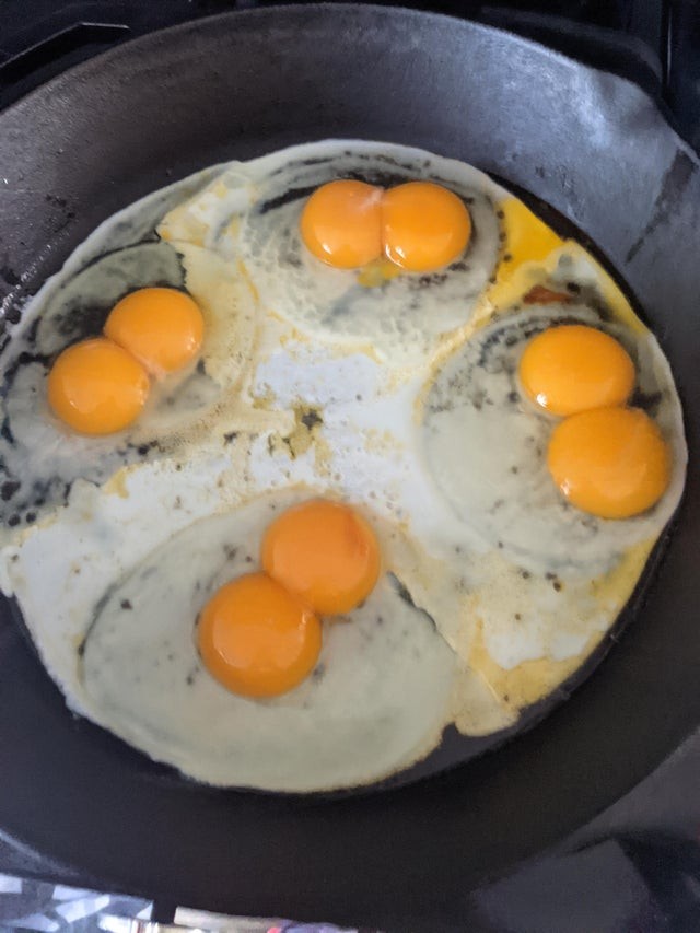 3. Wanneer je eieren koopt en een dubbele dooier vindt in alle 4 de eieren in de verpakking!