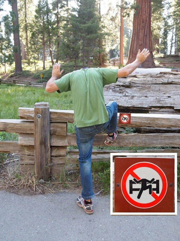 11. Là, peut-être que nous savons ce que cela signifie : ne pas escalader la clôture.