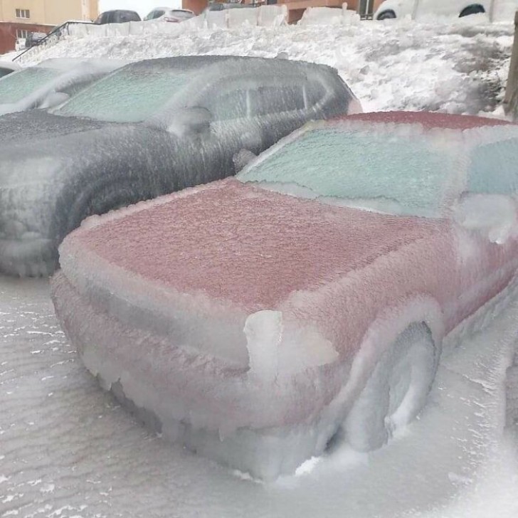 A row of shivering cars ...