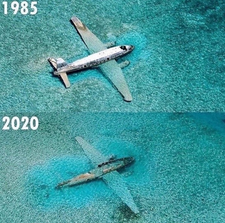 10. Der Zustand eines Flugzeugs, das 35 Jahre lang unter Wasser war.