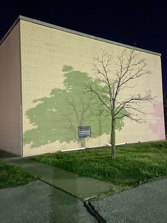 2. L'ombre de deux arbres projetée sur un bâtiment.
