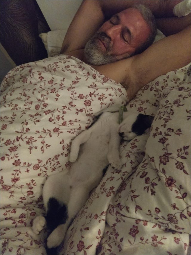 Mi esposo y el gato de la casa...