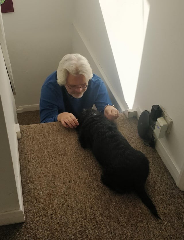 Det här är vad min pappa sa så snart han såg hunden