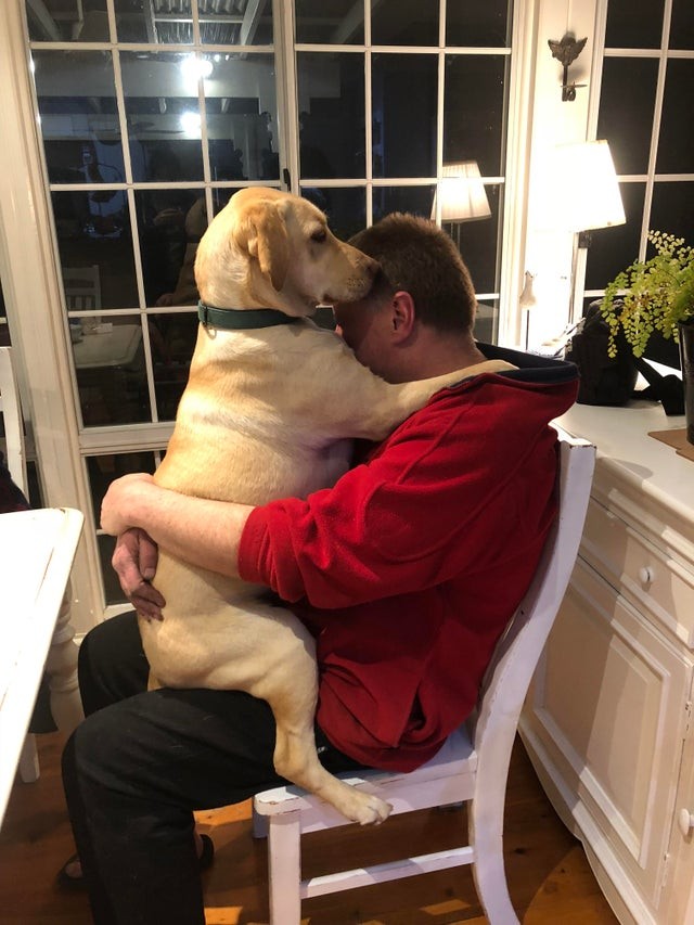 Meu pai: "Não quero cachorros em casa!"