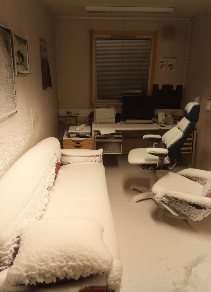 7. "When you live in Norway and accidentally leave your office window open ..."