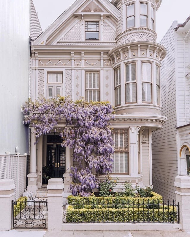 3. À San Francisco : un bâtiment d'allure victorienne, couvert de magnifiques fleurs de glycine.