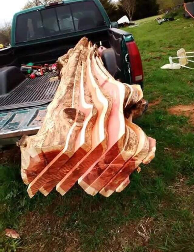 1. Queste enormi "fette di bacon" sembrano pronte per essere mangiate... oppure no?