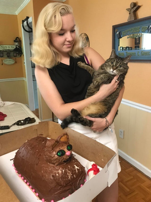 Volevo una torta che assomigliasse al mio gatto domestico, ma...