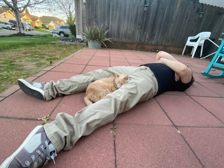 6. "Mio marito si è sdraiato nel nostro patio, dopo la nostra passeggiata".