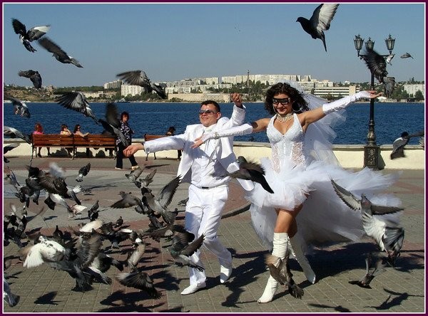 6. De jeunes mariés heureux ? Parmi les pigeons !