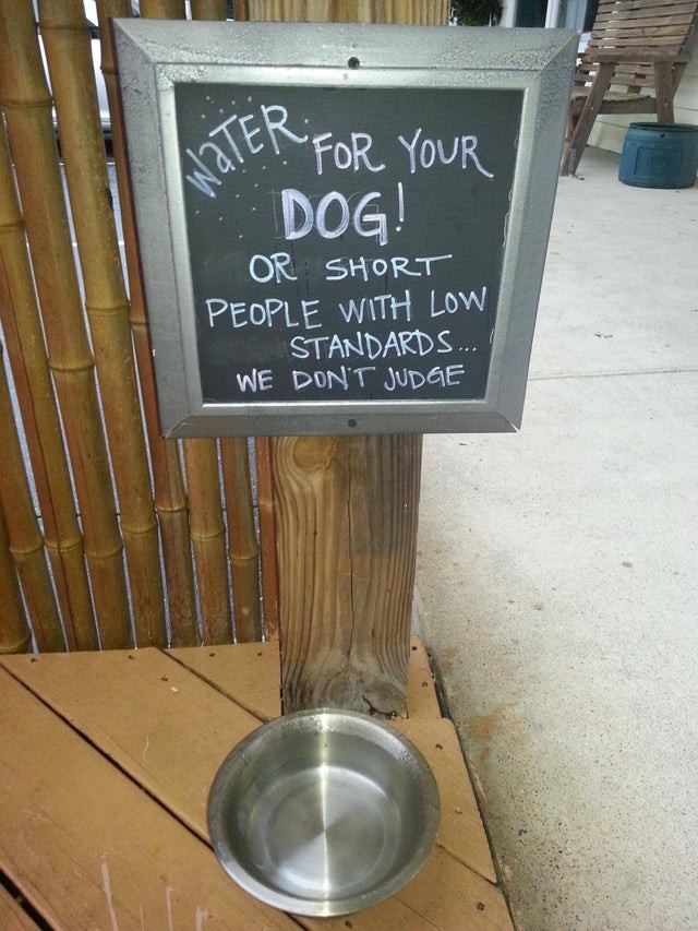 1. À l'intérieur du restaurant, il y a un bol avec de l'eau pour les chiens.
