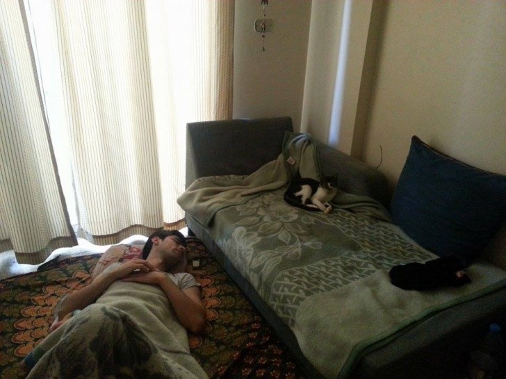 11. Si sono invertiti i ruoli: il gatto sul letto e il padrone sul pavimento.