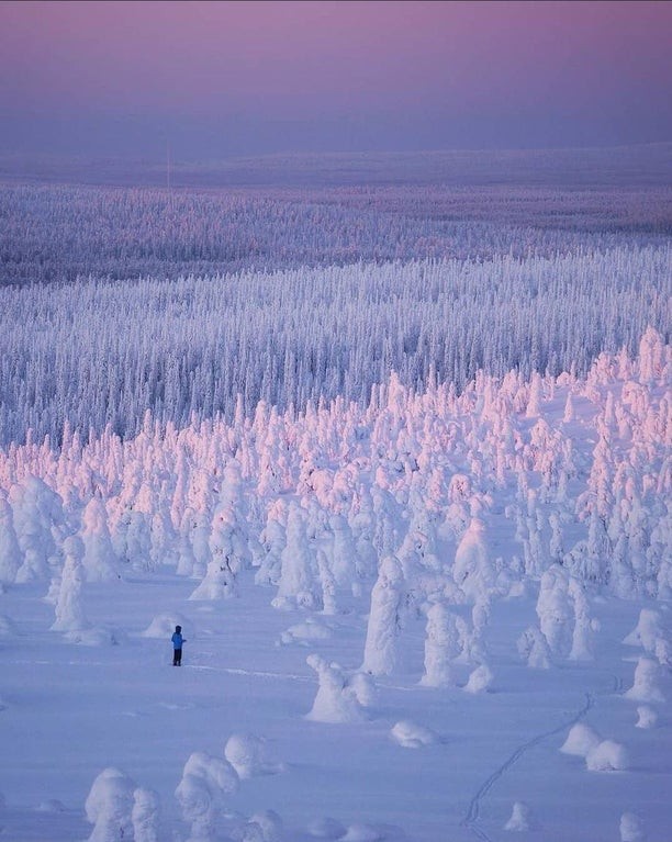 3. Questa foresta in Finlandia mostra un affascinante panorama innevato.