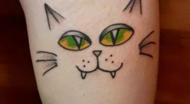 I dettagli del viso di un gatto senza i contorni del muso
