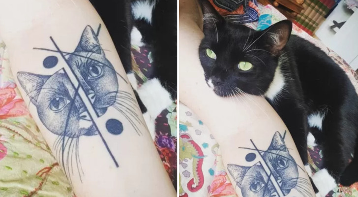 Un gatto nero e bianco appoggia il mento a un braccio su cui è tatuato il suo ritratto stilizzato