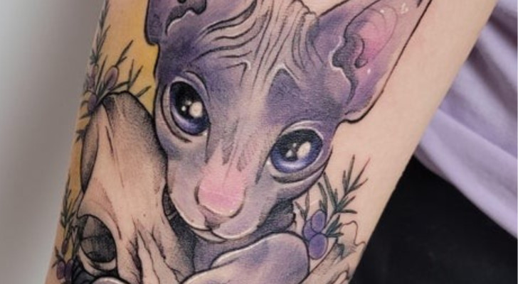 Tatuaggio di un gatto di razza sfinx stilizzato sul braccio di una donna