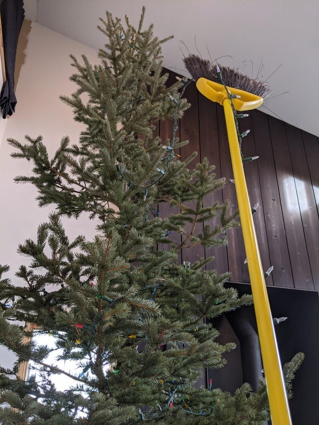 3. On n'a pas besoin d'une échelle pour placer les lumières sur l'arbre.
