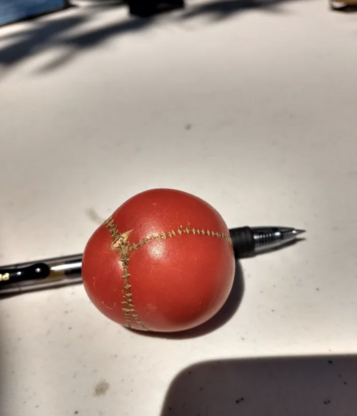 6. Questo pomodoro sembra essere stato tagliato e ricucito.