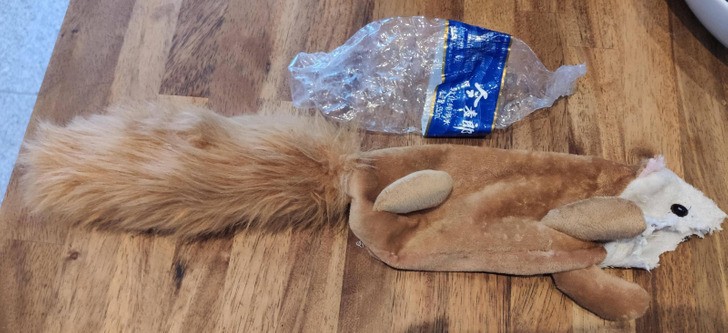 16. "Min hund tuggade sönder sin leksak och inuti fanns det...en plastflaska!"