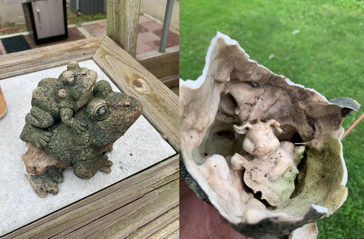 6. Qu'est-ce qui se cache dans une sculpture de jardin représentant deux grenouilles ?
