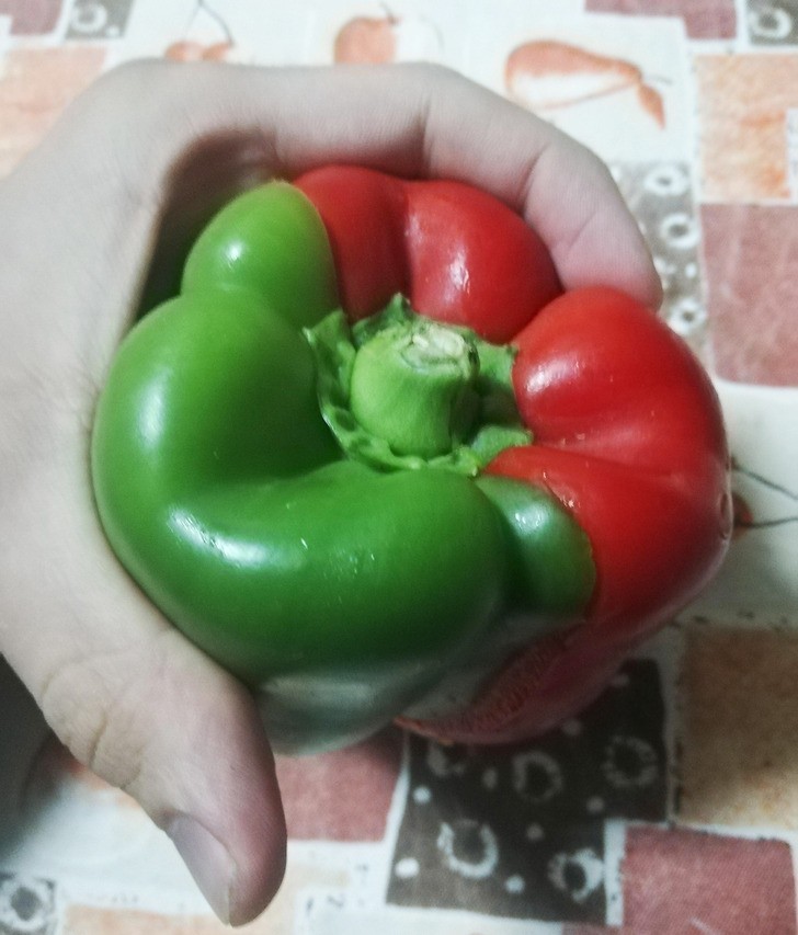 13. Twee verschillende paprika's vormen een hele paprika!