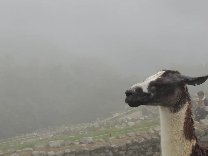 7. Derrière, il y aurait dû y avoir une photo du panorama de Macchu Picchu.