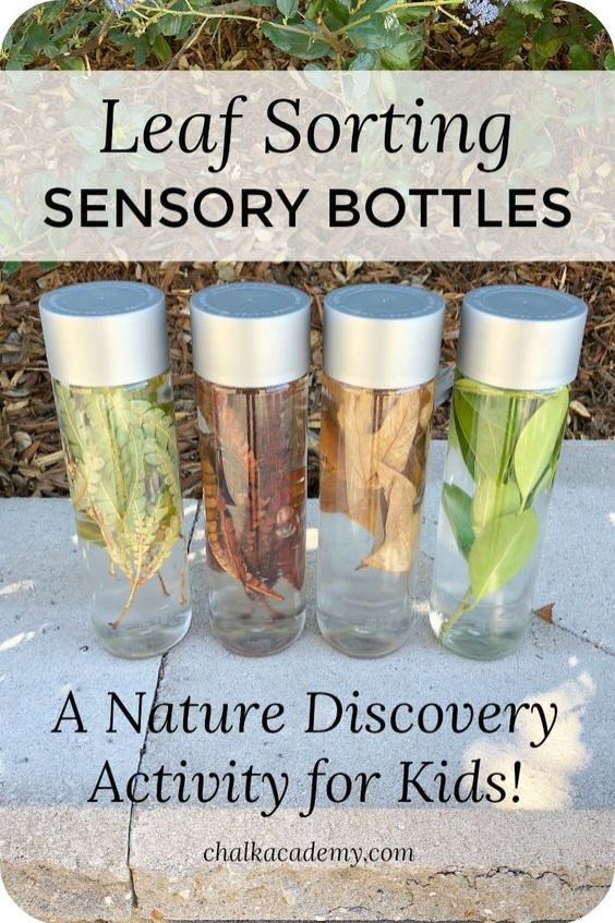 Bottiglie sensoriali con elementi naturali