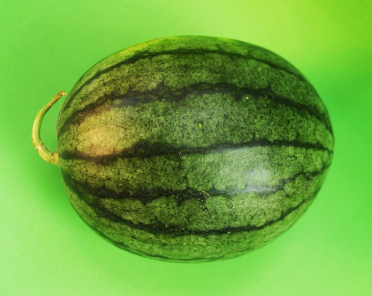 3. Wassermelonen-Fass