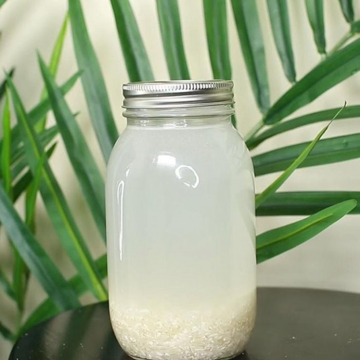 Reiswasser für Pflanzen